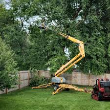 Trusted Rogers, MN Tree Removal and Landscaping Services Experts